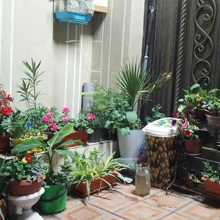 Hotel Guest House Golden Degrez Bukhara Bagian luar foto